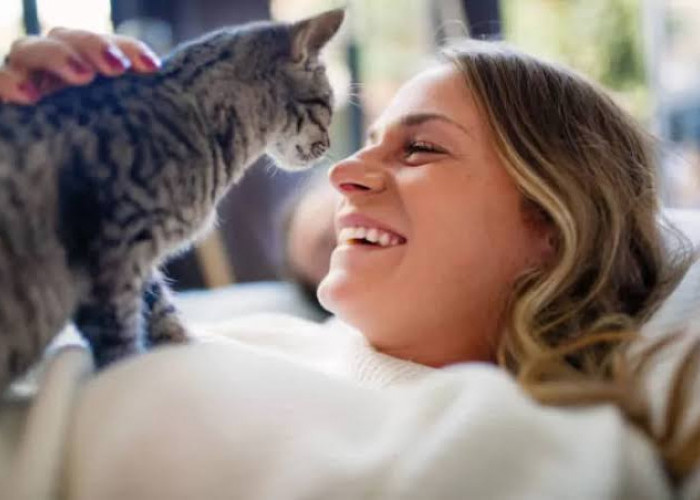 Bulu Kucing Bisa Bikin Wanita Jadi Mandul? Simak Faktanya di Sini