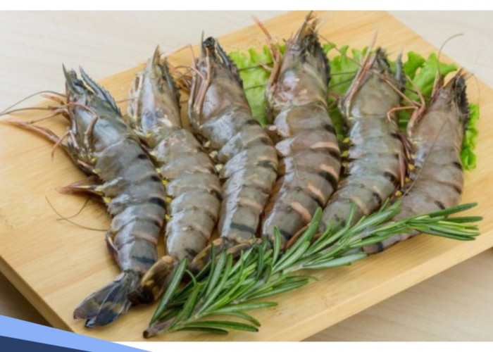 Mitos Minum Jus Jeruk Setelah Makan Udang, Benarkah Sebabkan Kematian? 