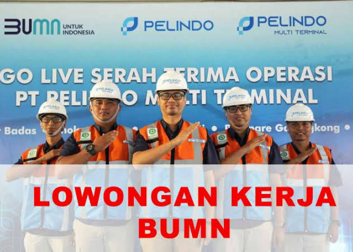 Peluang Kerja BUMN, PT Pelindo Multi Terminal Buka Lowongan Kerja Januari 2024, Cek Posisi dan Syaratnya