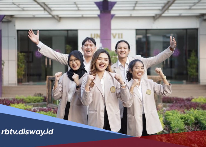 Peluang Karir dan 6 Prospek Kerja Lulusan Jurusan Teknologi Informasi