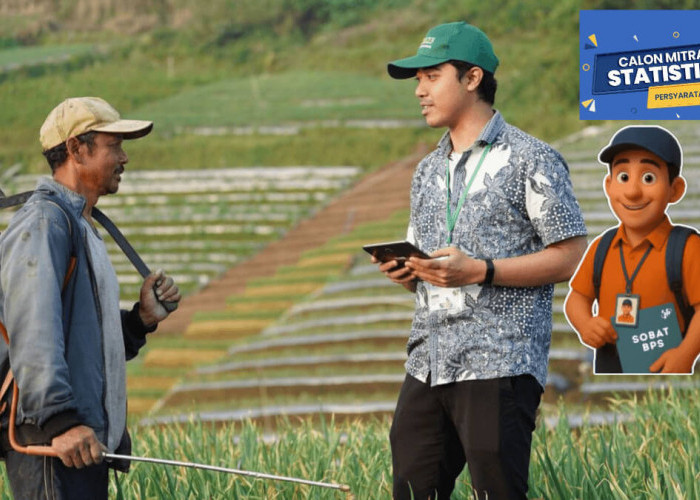Mitra Pendataan BPS 2026 Tugasnya Apa? Ini Ketentuan yang Berlaku