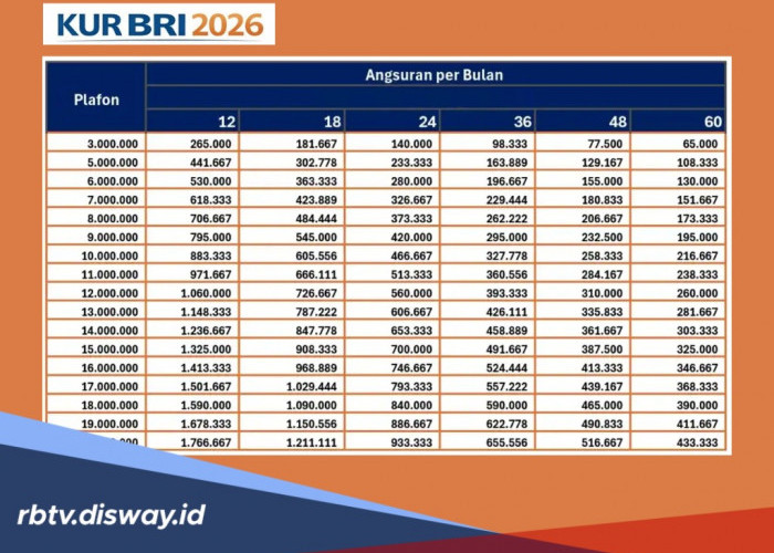 Berapa Angsuran Bulanan KUR BRI jika Pinjam Rp 90 Juta, Begini Cara Cek SLIK OJK