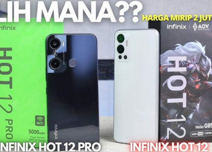 Infinix Hot 12 Pro vs Infinix Hot 12, Pilih yang Mana? Intip Perbandingannya   