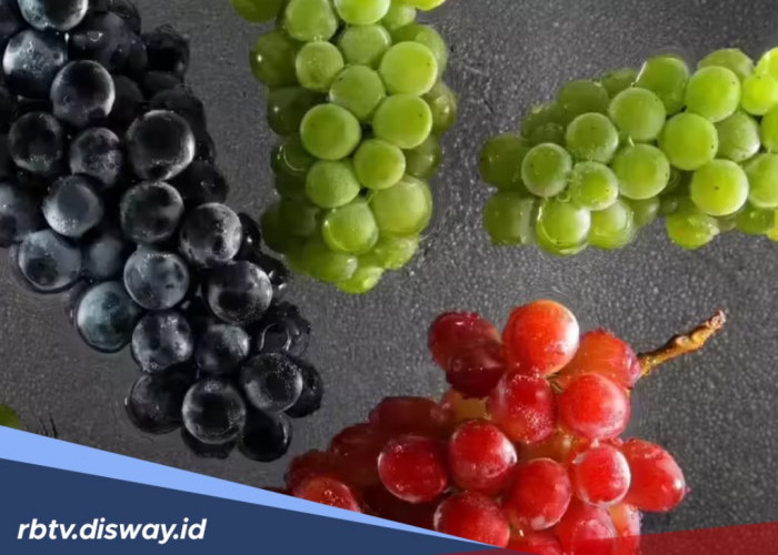 Kandungan Nutrisi dan 7 Manfaat Anggur Segar Bagi Kesehatan dan Kecantikan