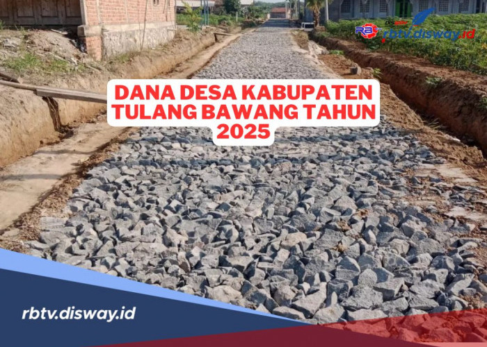 Rincian Dana Desa Kabupaten Tulang Bawang Tahun 2025, Desa Mana yang Menerima Anggaran Tertinggi