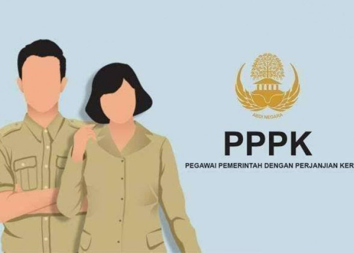 Para Honorer Simak, Menpan RB dan BKN Sepakat Jadwal Pembukaan Seleksi PPPK Mulai di Tanggal ini