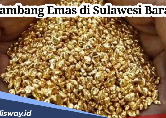 Ditangani 14 Perusahaan, Ini 3 Kabupaten Penyumbang Harta Karun Tambang Emas di Sulawesi Barat