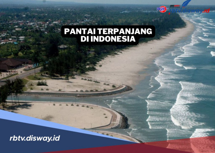 Pantai Panjang Bengkulu Apakah Pantai Terpanjang di Indonesia