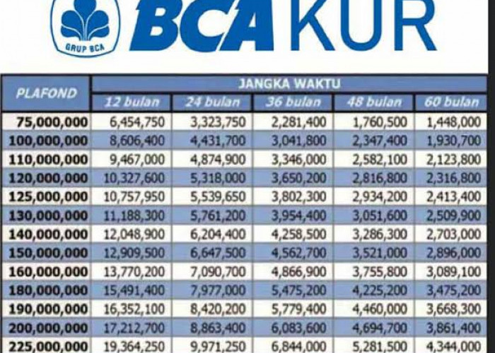 KUR BCA 2023 Plafon Rp50 Juta Bunga 0,2 Persen Per Bulan, Cek Angsuran per Bulan Mulai dari Rp1 Jutaan