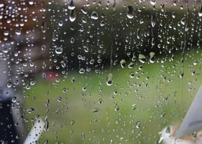 Prakiraan Cuaca Bengkulu Hari Ini, BMKG Prediksi 6 Kabupaten Ini Hujan Lebat
