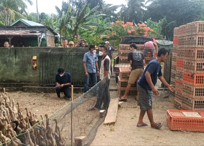 Desa ini Akan Menjadi Salah Satu Sentral Produksi Telur Asin, Melalui Program Ketahanan Pangan