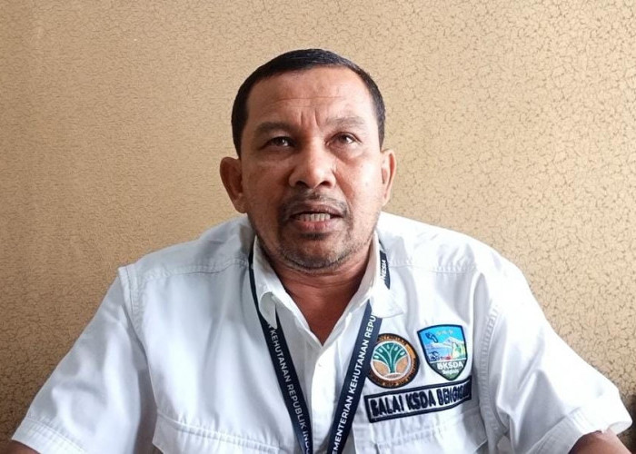 Beberapa Satwa Semakin Sulit Ditemukan di Rejang Lebong