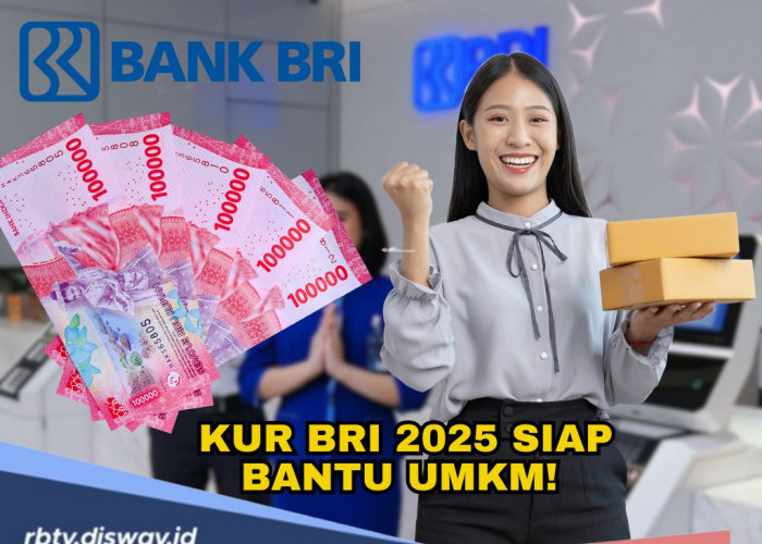 KUR BRI 2025, Pemerintah Bantu Modal Usaha UMKM, Simak Syarat dan Cara Pengajuannya