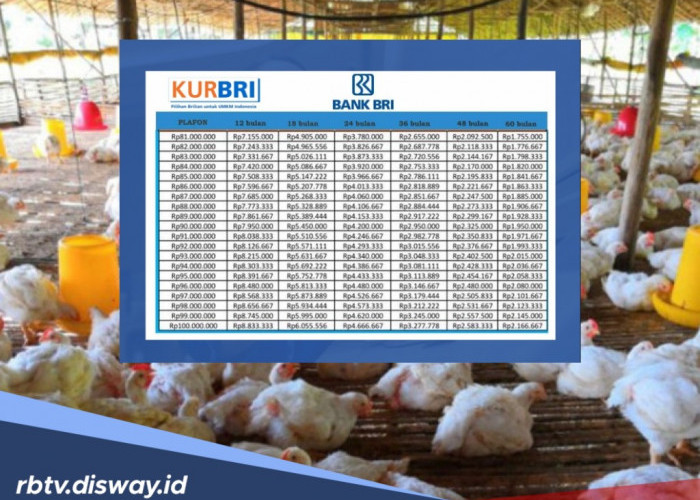 Tabel KUR BRI Hari Ini, Pinjaman Rp 45 Juta Tanpa Agunan, Angsuran Kurang dari Rp 1 Juta