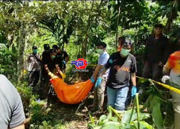 Di Kabawetan Kepahiang, Tulang Belulang Manusia ditemukan di Kebun Kopi