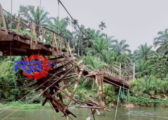 Jembatan Gantung Pondok Lunang Putus, Masyarakat Harus Tempuh 40 Km Untuk Angkut Hasil Pertanian   