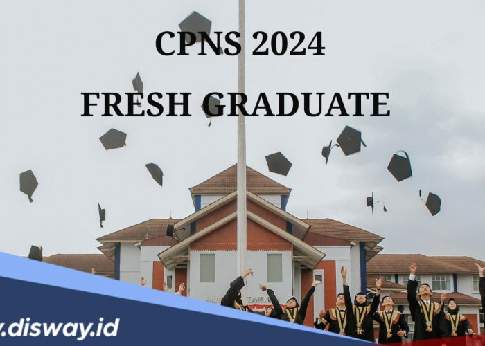 Ternyata Ini Alasan Pemerintah Buka 690 Ribu Formasi CPNS 2024 Fresh Graduate