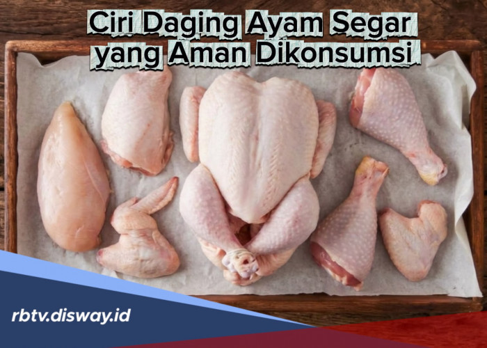 Ciri Daging Ayam Segar yang Aman Dikonsumsi