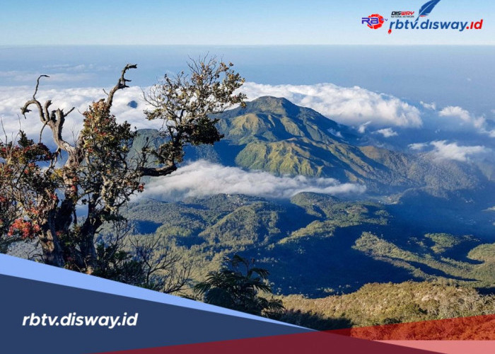 Jalur Pendakian Gunung Lawu via Candi Cetho dengan Estimasi Tiba di Puncak Selama 8 Jam