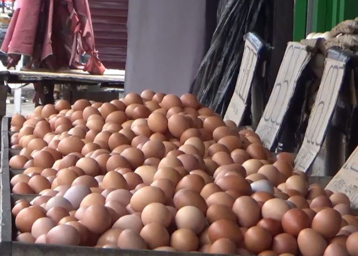 Harga Telur Ayam di Pasar Turun, Rp55.000 per Karpet