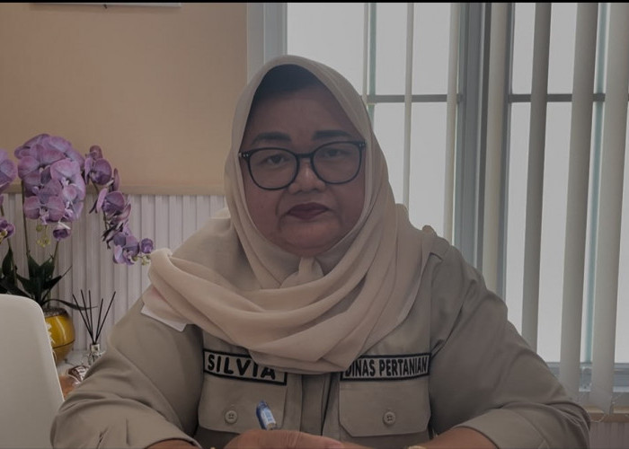 Hanya 11 Kelompok Tani di Lebong Disetujui Terima Program Oplah 2026