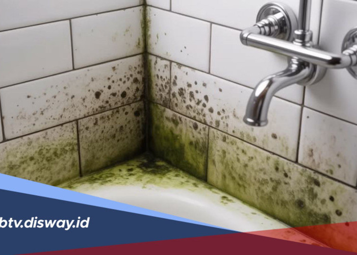 Cara Menghilangkan Lumut di Kamar Mandi agar Bersih dan Tidak Licin