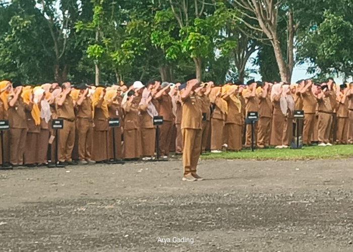 Data PPATK: Dari Kepala Dinas hingga PPPK Paruh Waktu di Pemkab Seluma Terdeteksi Main Judi Online