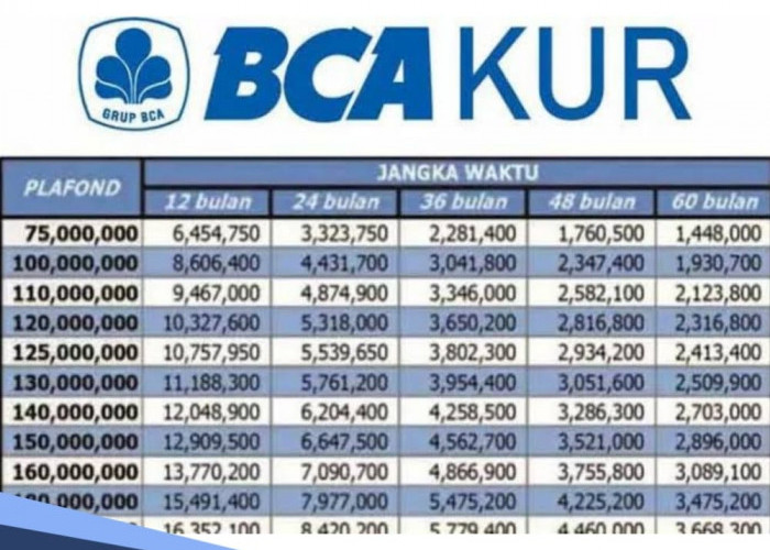  4 Syarat Pengajuan KUR BCA 2024 Melalui E-form KUR yang Bisa Cair Sampai Ratusan Juta 