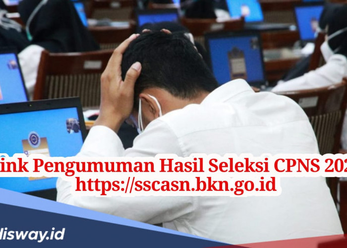 Daftar Lengkap Link Pengumuman Hasil CPNS 2024 dan Cara Ceknya!