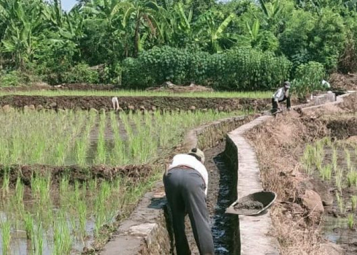 Tabel Rincian Dana Desa di Kabupaten Rembang Tahun 2024, Cek di Sini Dana Desamu