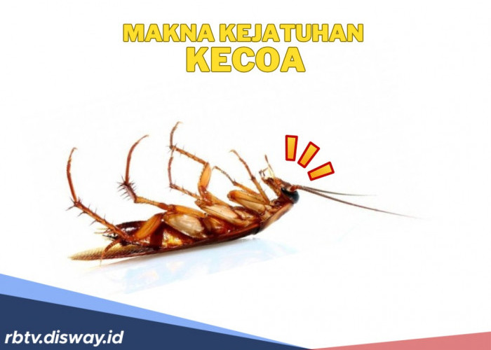 Simbol Keberuntungan atau Pertanda Buruk? Ini 4 Arti Kejatuhan Kecoa Menurut Kepercayaan