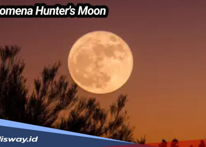 Jangan Lewatkan, Malam Ini Ada Fenomena Langit Hunter’s Moon 