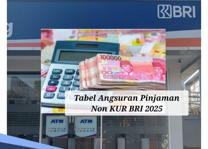 Pinjaman PPPK 2025 Non KUR BRI, Ini Angsuran Pinjaman Rp 150 Juta serta Syaratnya