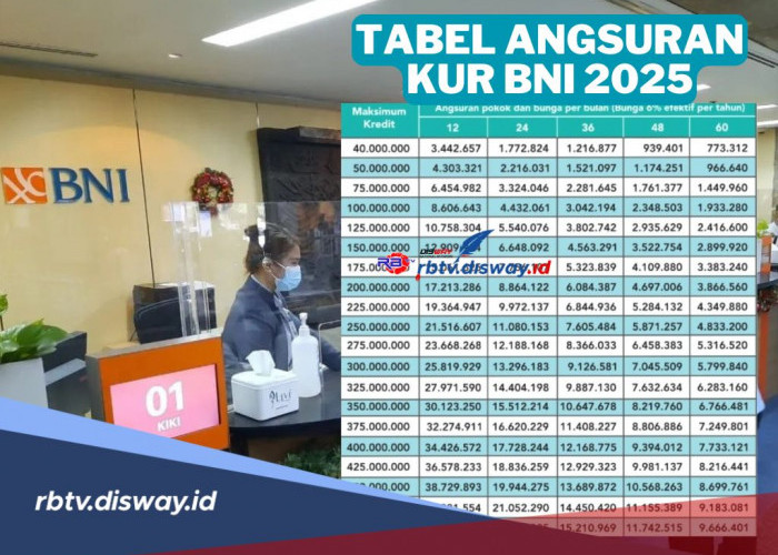 Tabel Angsuran KUR BNI 2025 Pinjaman Rp100-500 Juta, Cek Status Pengajuan Cuma 5 Menit, Begini Caranya