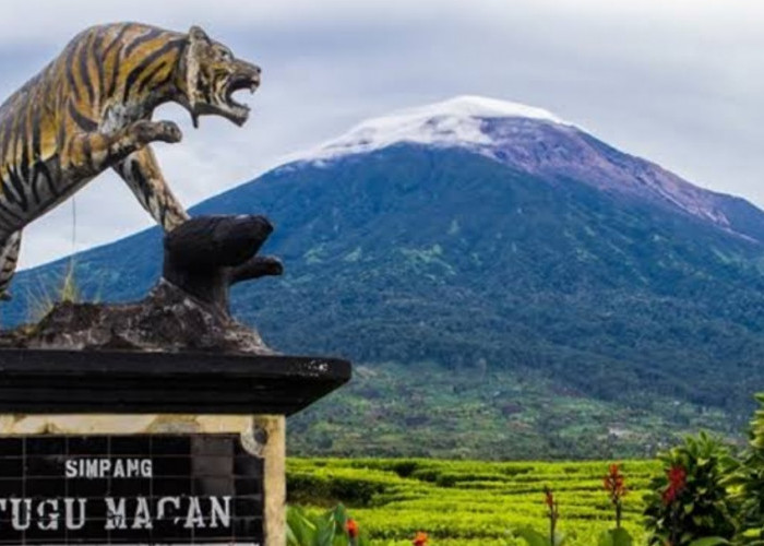 7 Mitos Seram Gunung Kerinci, Konon Katanya Dijaga Manusia Harimau