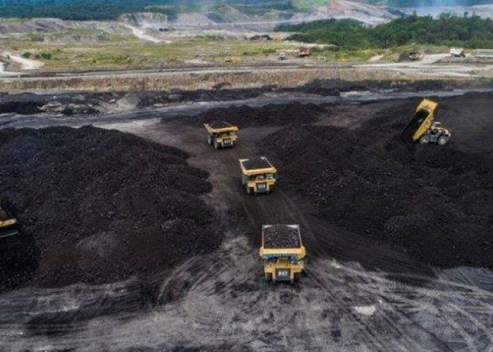Cadangan Lebih 500 Juta Ton Harta Karun Emas Hitam di Sumatera, Berada di 3 Lokasi Termasuk Aceh