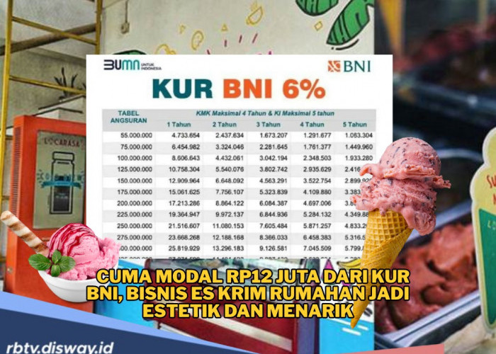 Modal Rp12 Juta dari KUR BNI, Usaha Es Krim Rumahan Melejit Naik Kelas, Ini Rincian Angsurannya 