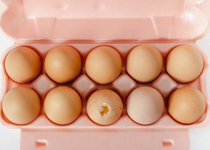 Gak Selalu Sehat, Ini 7 Jenis Telur Tidak Layak Dimakan, Salah Satunya Cangkang Telur Retak