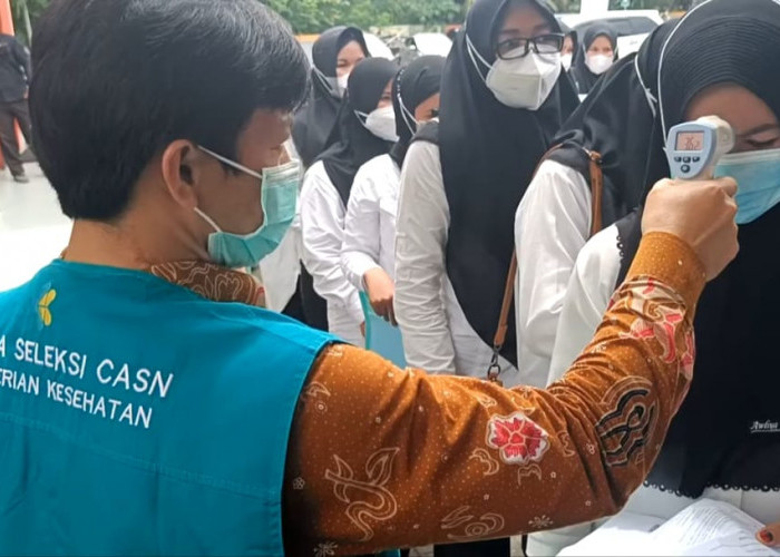 Tahun Ini Ada Peluang P3K Nakes di Seluma, Pemkab Minta Kuota 207 Orang   