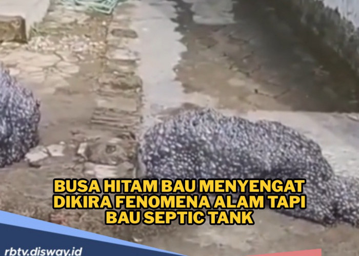 Busa Hitam Misterius Bikin Heboh Warga di Subang, Fenomena Apa Itu?