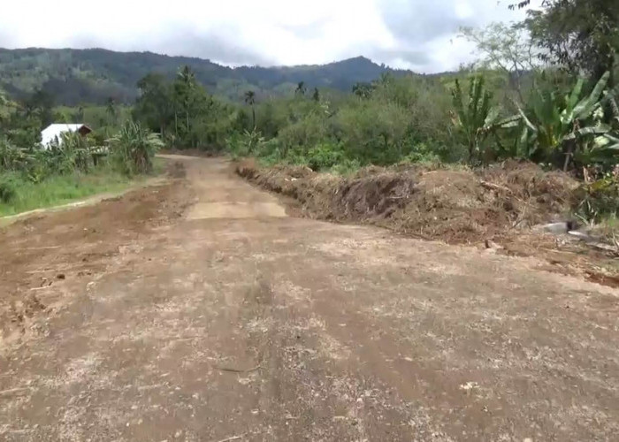 Penampakan 'Jalan Peda' yang Habiskan DANA Pinjaman PT.SMI, Bupati Zurdi: Mubazir Tanpa Jembatan