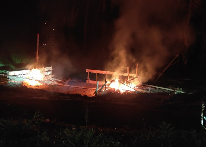 Polres Rejang Lebong Bakar Arena Judi Sabung Ayam di Talang Rimbo Lama