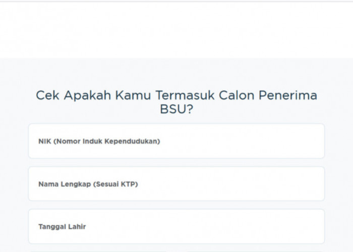 BSU 2025 Tidak Perlu Daftar, Uang Rp 600 Siap Cair Ke Rekening