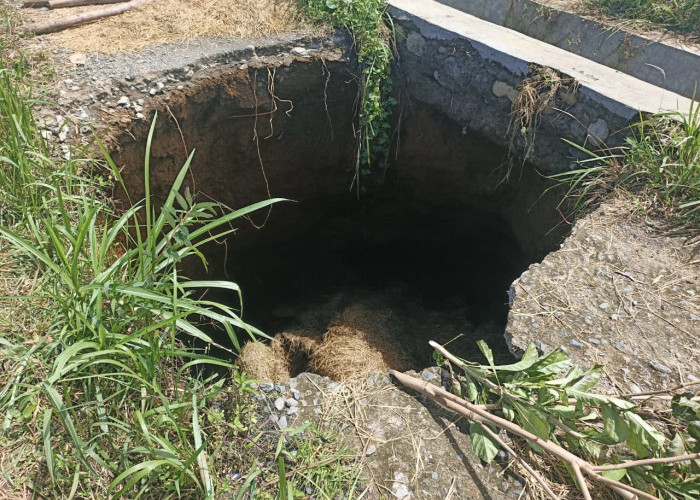 Jalan Usaha Tani di Kemumu Amblas, Irigasi Terancam, Akses Angkut Hasil Panen Terganggu