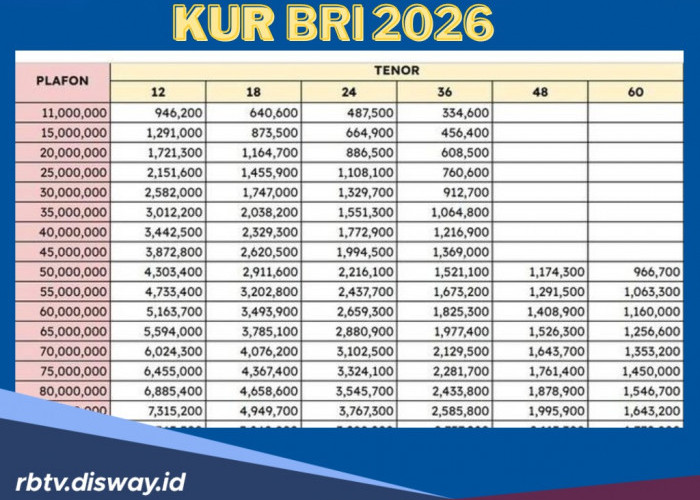 Info Resmi Tabel KUR BRI Rp 45 Juta Tidak Harus Ada NIB