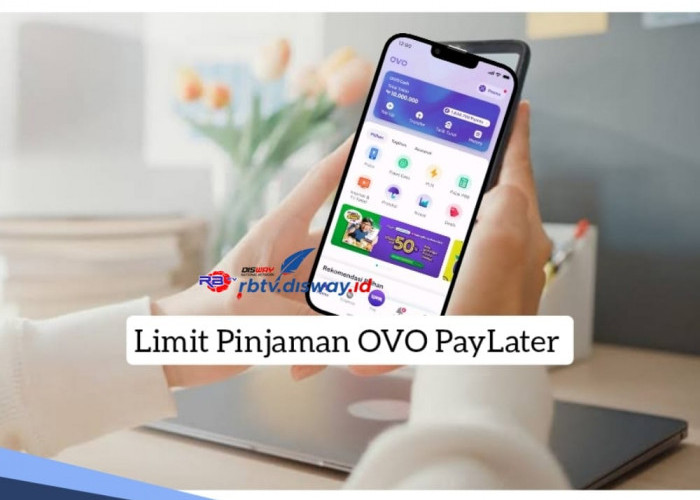Limit Pinjaman OVO PayLater, Cuma Modal KTP,  Belanja Sekarang Bayar Belakangan Hingga 12 Bulan