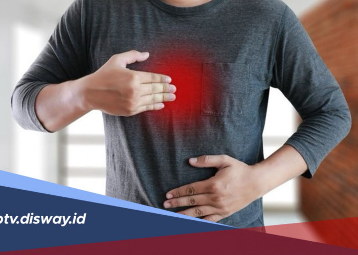 Minuman Sehat yang Ramah untuk Penderita GERD, Nyaman di Lambung dan Tetap Menyegarkan