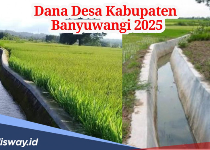 Rincian Dana Desa Kabupaten Banyuwangi 2025, Ini Daftar Desa yang Terima Anggaran hingga Rp 2 Miliar