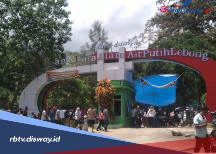 Strategi Disparpora Kabupaten Lebong untuk Meningkatkan PAD dari Sektor Olahraga