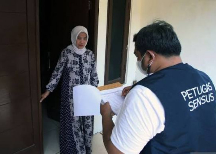 Catat, Ini Tugas yang Diemban Petugas Pendataan Lapangan Mitra Statistik BPS 2026